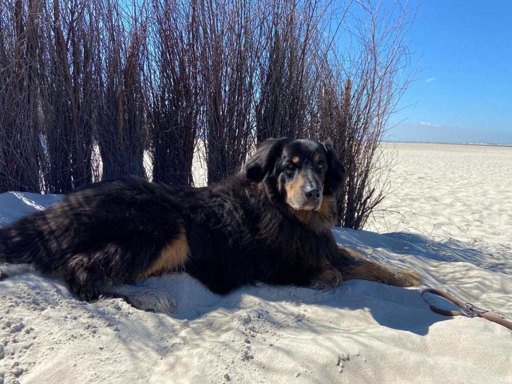 Ferien Im Wangerland - Haus Wiesenweg - Apartment 2 1Og Horumersiel Kültér fotó